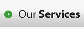 Our Services Button